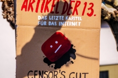 Save the Internet Demonstration Poster