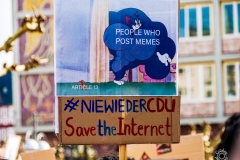 Save the Internet Demonstration Poster