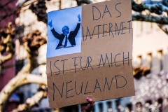 Save the Internet Demonstration Poster