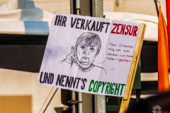 Save the Internet Demonstration Poster