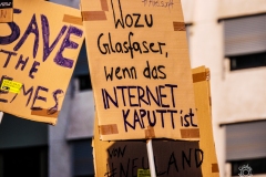 Save the Internet Demonstration Poster
