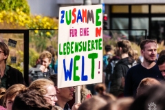 Fridays for Future Demonstration in Darmstadt Poster