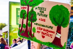 Fridays for Future Demonstration in Darmstadt Poster