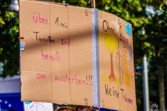Fridays for Future Demonstration in Darmstadt Poster