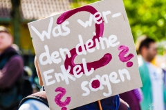 Fridays for Future Demonstration in Darmstadt Poster