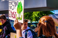 Fridays for Future Demonstration in Darmstadt Poster