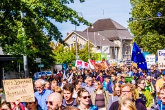 Fridays for Future Demonstration in Darmstadt