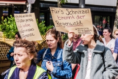 Fridays for Future Demonstration in Darmstadt Poster