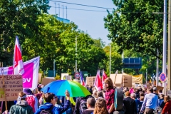 Fridays for Future Demonstration in Darmstadt