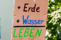 Fridays for Future Demonstration in Darmstadt Poster