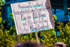 Fridays for Future Demonstration in Darmstadt Poster