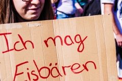 Fridays for Future Demonstration in Darmstadt Poster