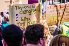 Fridays for Future Demonstration in Darmstadt Poster