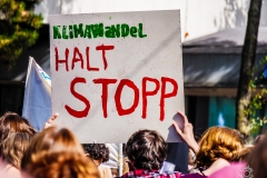 Fridays for Future Demonstration in Darmstadt Poster