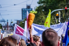 Fridays for Future Demonstration in Darmstadt