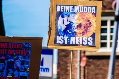 Fridays for Future Demonstration in Darmstadt Poster