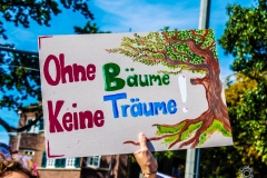 Fridays for Future Demonstration in Darmstadt Poster