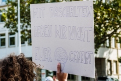 Fridays for Future Demonstration in Darmstadt Poster