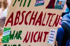 Fridays for Future Demonstration in Darmstadt Poster