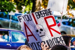 Fridays for Future Demonstration in Darmstadt Poster