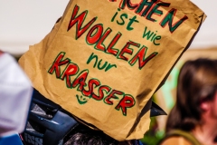 Fridays for Future Demonstration in Darmstadt Poster