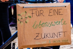 Fridays for Future Demonstration in Darmstadt Poster