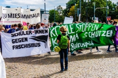 Fridays for Future Demonstration in Darmstadt Poster