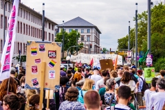 Fridays for Future Demonstration in Darmstadt