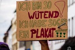 Fridays for Future Demonstration in Darmstadt Poster