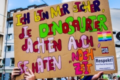 Fridays for Future Demonstration in Darmstadt Poster