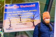 Fridays_For_Future_Demonstration_Darmstadtium_11.11.2021_9