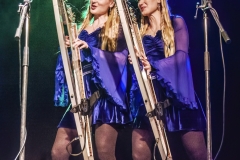 Harp_Twins-Morlenbach-Live_Music_Hall_Weiher-25_02_2024-Teil1-TF-27