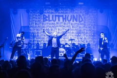 Bluthund-Batschkapp-Frankfurt-16-01-2025-TF-55
