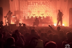 Bluthund-Batschkapp-Frankfurt-16-01-2025-TF-66