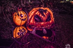 Final_Darkness-Das_Bett-Frankfurt-18-10-2025-TF-20