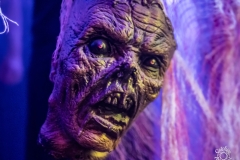 Final_Darkness-Das_Bett-Frankfurt-18-10-2025-TF-73